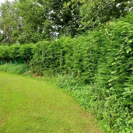 Casa Buda Conors & Boutique 3* Foz