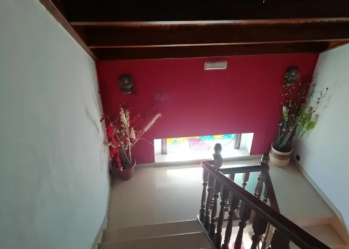 Casa Buda Conors & Boutique Foz