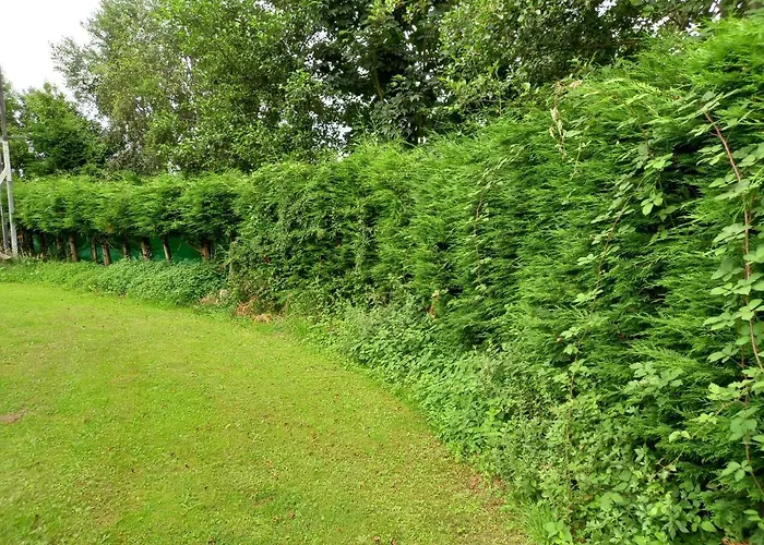 Casa Buda Conors & Boutique 3* Foz